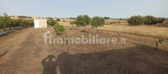Terrain à Pachino, Italy 13528m² No. 68079 11