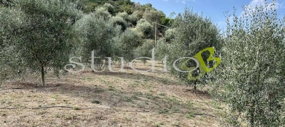 1 bedroom House in Soldano, Italy No. 237136 24