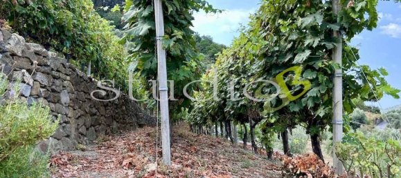 1 bedroom House in Soldano, Italy No. 237136 23