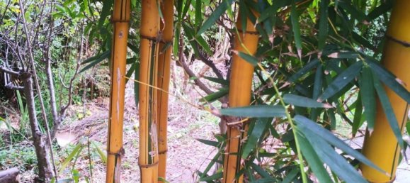 2 bedrooms House in Cadiz, Spain No. 151035 37