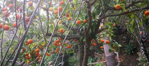 2 bedrooms House in Cadiz, Spain No. 151035 36