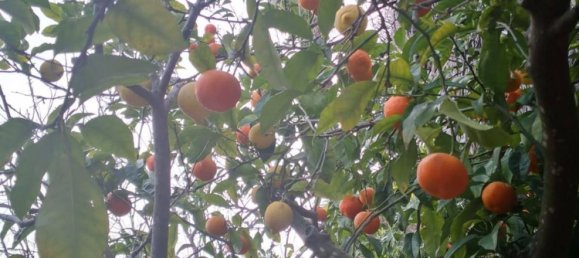 2 bedrooms House in Cadiz, Spain No. 151035 35