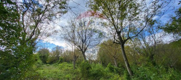 1-Zimmer Grundstück in Serra San Quirico, Italy, Nr. 4778 4