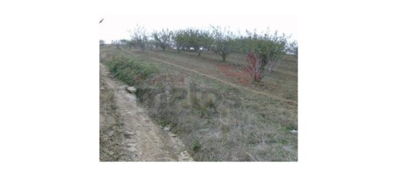 Grundstück in Lourinha, Portugal 6960m², Nr. 77086 4