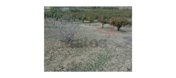 Grundstück in Lourinha, Portugal 6960m², Nr. 77086 5