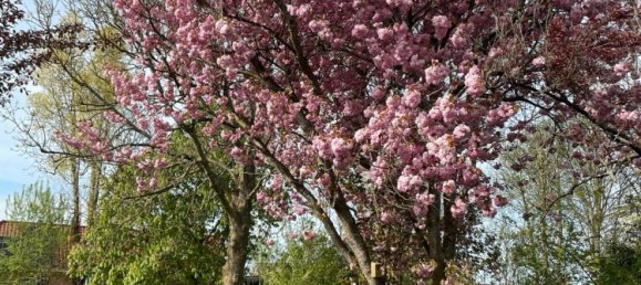 4غرفة تاون هاوس في Nordfriesland, Germany رقم 276125 3