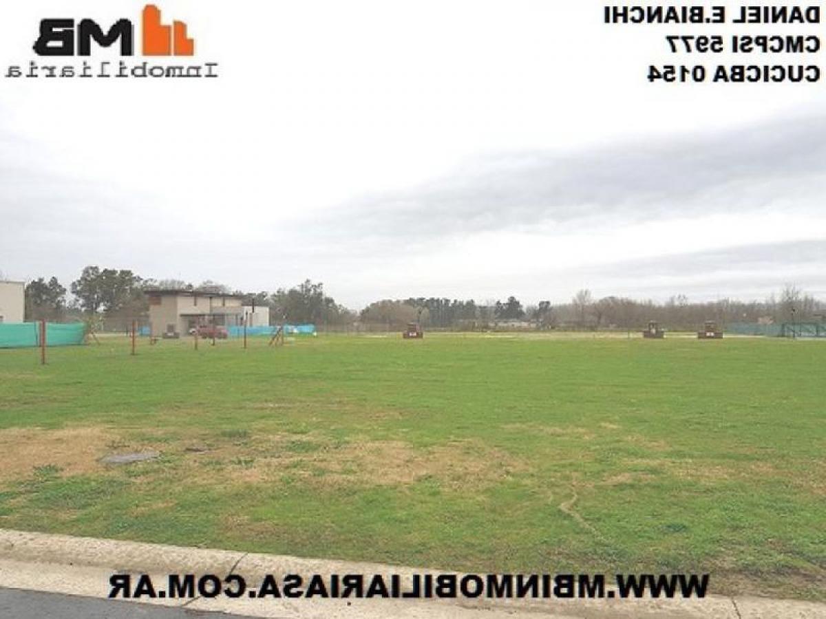  Farm in Tigre, Argentina No. 37153