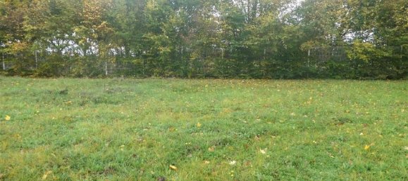 4 chambres Maison à Brezolles, France No. 88566 7