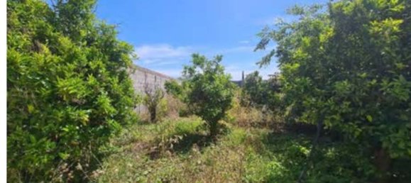 6-Zimmer Wohnung in Francofonte, Italy, Nr. 43413 25