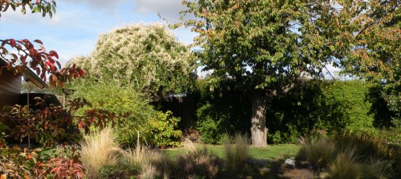 Terreno T2 em Unstrut-Hainich-Kreis, Germany N.º 74121 29