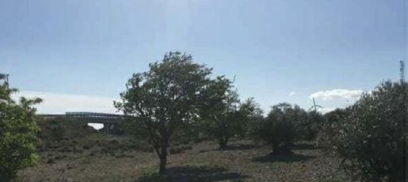 Terrain à La Muela, Spain 2689m² No. 68172 3