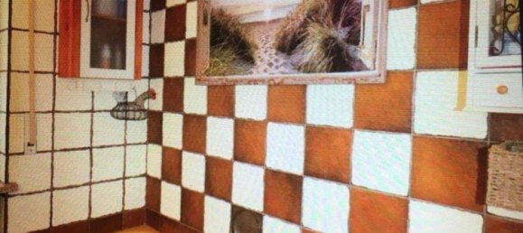 Adosado de 6 habitaciónes en Nurnberger Land, Germany No. 257889 22