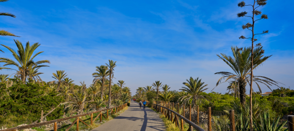 Propriété commerciale à Guardamar del Segura, Spain 148m² No. 56317 17