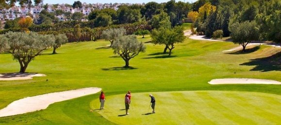 2 bedrooms Apartment in Mil Palmeras, Spain No. 10781 22