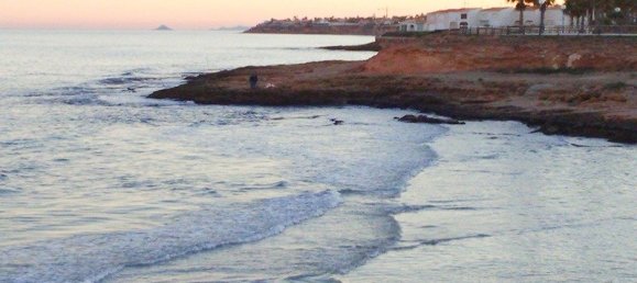 2 bedrooms Apartment in Mil Palmeras, Spain No. 10781 19