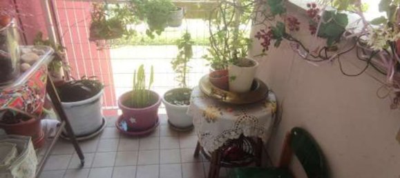 3-Zimmer Wohnung in Garbagnate Milanese, Italy, Nr. 6920 12