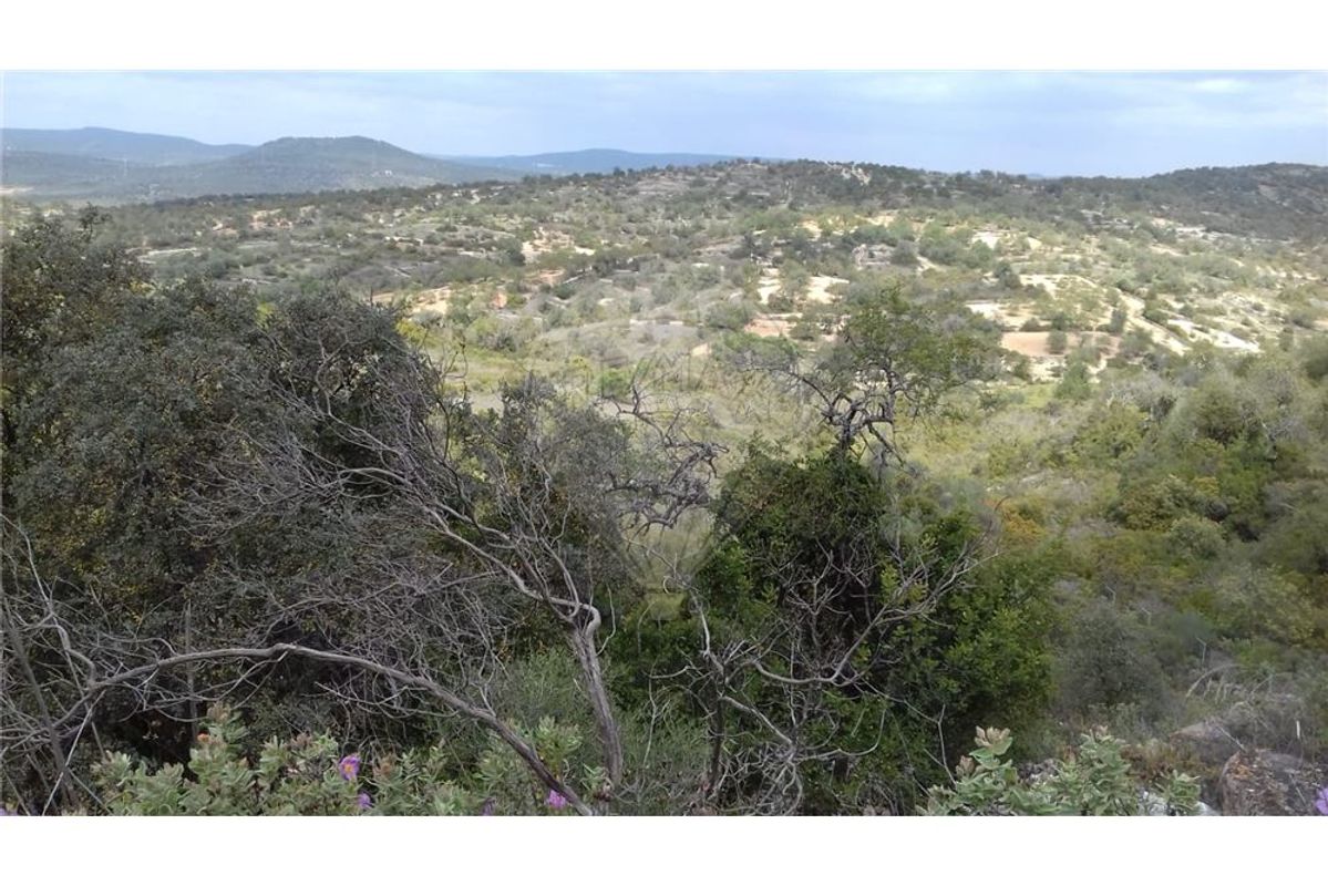 2700m² Land in Loule, Portugal No. 78330