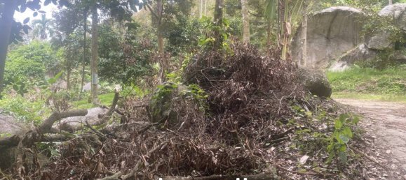  Commercial property in Ko Samui, Thailand No. 23792 6