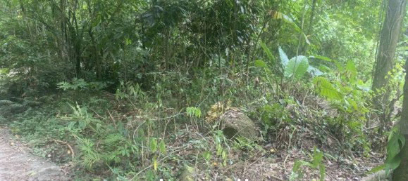  Commercial property in Ko Samui, Thailand No. 23792 4