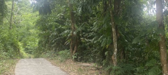  Commercial property in Ko Samui, Thailand No. 23792 7