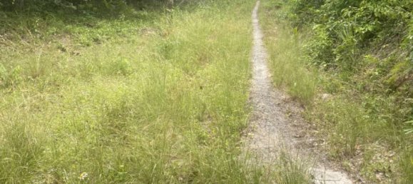  Commercial property in Ko Samui, Thailand No. 23792 5