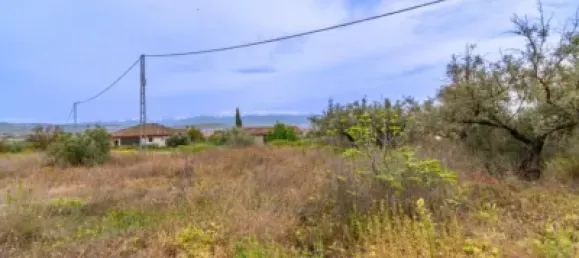 825m² Land in Albolote, Spain No. 181276 10