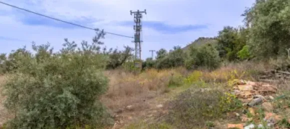 825m² Land in Albolote, Spain No. 181276 5