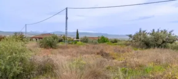 825m² Land in Albolote, Spain No. 181276 9