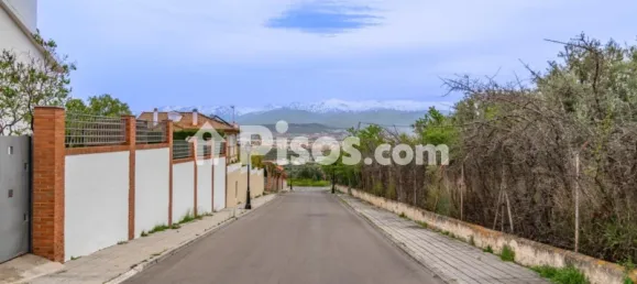 825m² Land in Albolote, Spain No. 181276 15