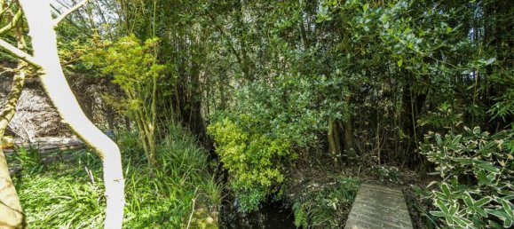 Casa de 4 dormitorios en Beckenham, United Kingdom No. 14379 19