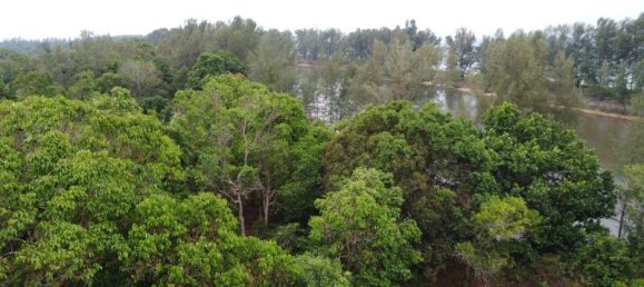  Commercial property in Khok Kloi, Thailand No. 8032 9