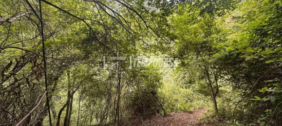 1 bedroom House in Tavernola Bergamasca, Italy No. 285817 12