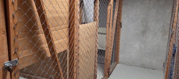 2غرفة شقة في Kassel, Germany رقم 292842 14