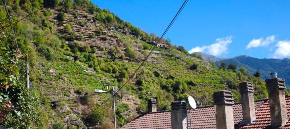 4 Schlafzimmer Wohnung in Pomaretto, Italy, Nr. 315387 29