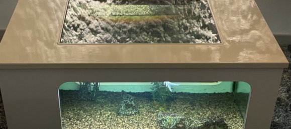 7 Schlafzimmer Haus in Amboise, France, Nr. 272798 4