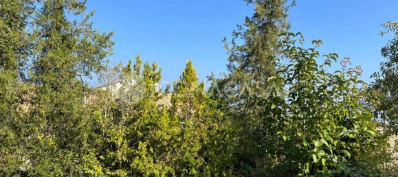 5غرفة منزل في Città Sant'Angelo, Italy رقم 24068 4