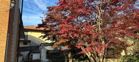 12 rooms Villa in Varese, Italy No. 176480 9