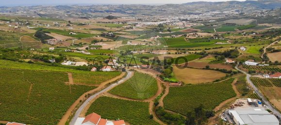 Grundstück in Sobral de Monte Agraco, Portugal 45200m², Nr. 191845 25