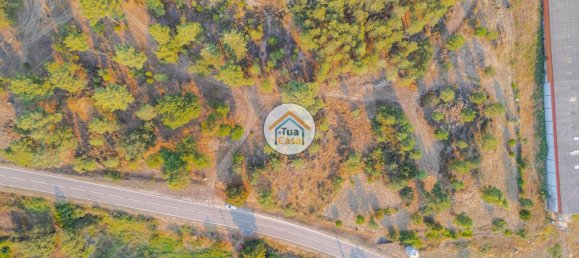 Grundstück in Ferreirim, Portugal 22293m², Nr. 62694 17