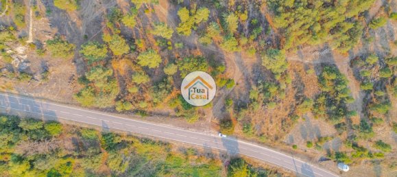 Grundstück in Ferreirim, Portugal 22293m², Nr. 62694 18