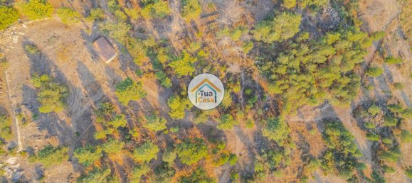 Grundstück in Ferreirim, Portugal 22293m², Nr. 62694 15