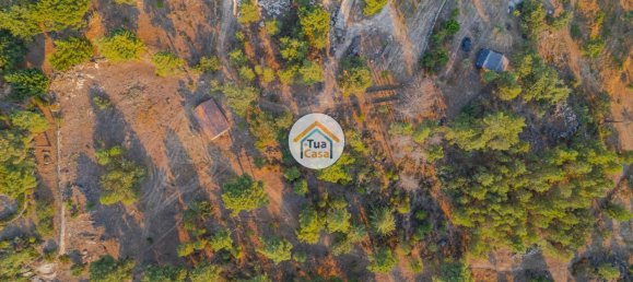 Grundstück in Ferreirim, Portugal 22293m², Nr. 62694 19