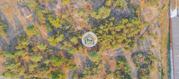 Grundstück in Ferreirim, Portugal 22293m², Nr. 62694 16