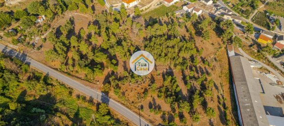 Grundstück in Ferreirim, Portugal 22293m², Nr. 62694 10