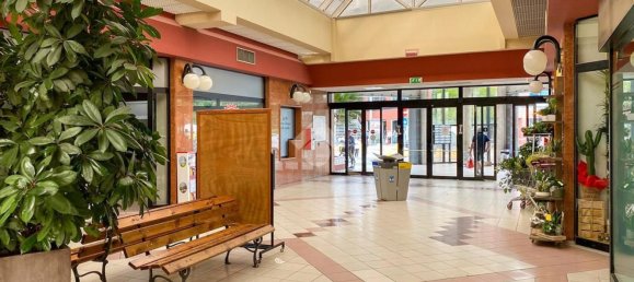 Gewerbliche Immobilie in Manerbio, Italy 330m², Nr. 73844 9