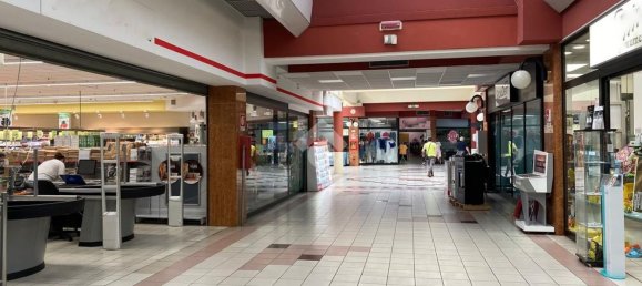 Gewerbliche Immobilie in Manerbio, Italy 330m², Nr. 73844 3