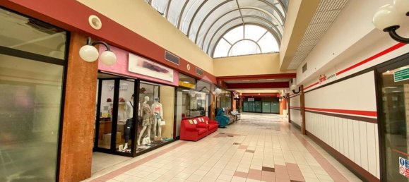 Gewerbliche Immobilie in Manerbio, Italy 330m², Nr. 73844 2