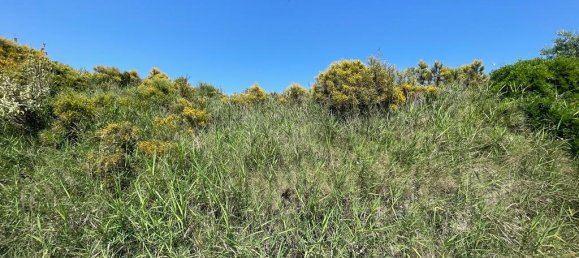 10025m² Hotel in Corfu, Greece No. 5922 2