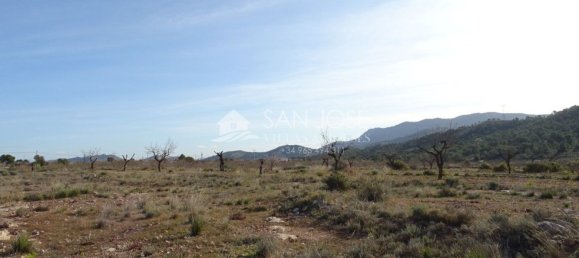  Land in Hondon De Las Nieves, Spain No. 97810 6