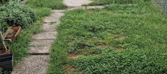 4-salle Maison à Padua, Italy No. 147616 26